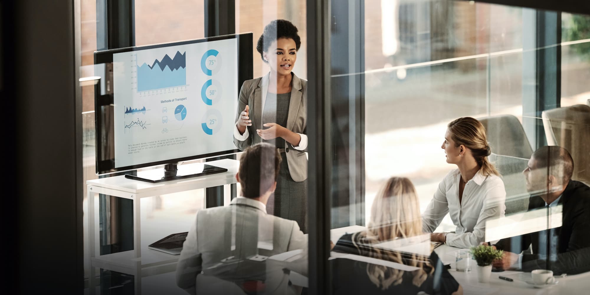 person giving a finance presentation to coworkers